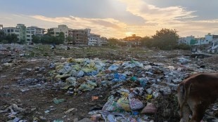 Nagpur High Court Suo Motu PIL on city cleanliness