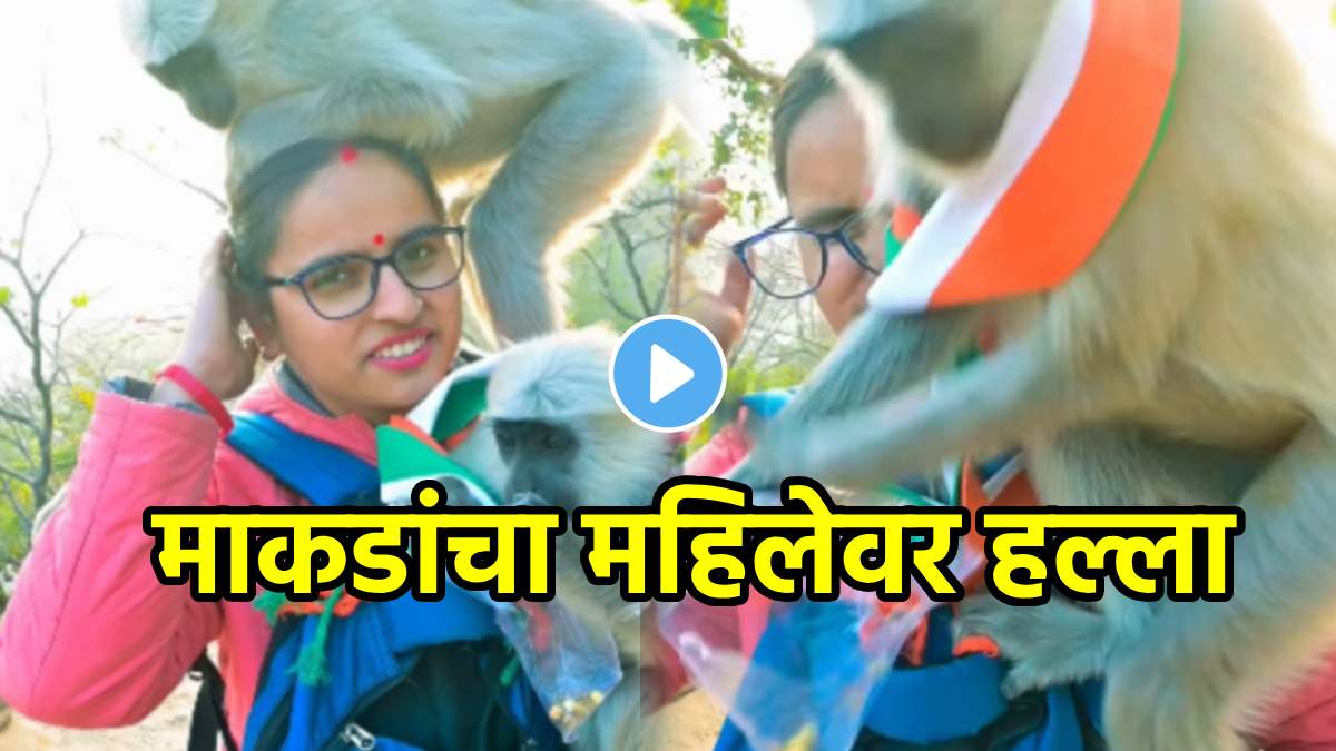 Monkeys attacked a woman