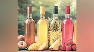 wine industry Maharashtra, fruit wine subsidy Maharashtra, Maharashtra wine export policy, grape wine vs fruit wine, fermented beverages policy India, wine tax policy Maharashtra, honey wine production India,