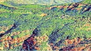 Satara Mahabaleshwar Jhadani land scam inquiry report GST Commissioner Chandrakant Valvi case Koyna backwater sensitive zone Ceiling