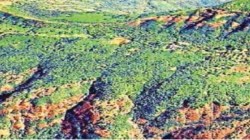 झाडाणीत अतिरिक्त जमीन बळकवल्याचे सिद्ध; चौकशी समितीचा अहवाल शासनास सादर…
