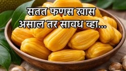 फणस खायला आवडतो? पण ‘या’ व्यक्तींनी चुकूनही खाऊ नका