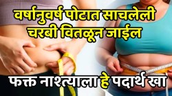वर्षानुवर्ष पोटात साचलेली चरबी जाईल वितळून; वजन कमी होईल, फक्त नाश्त्यात खा ‘हेच’ पदार्थ, परिणाम पाहून व्हाल थक्क