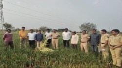 कांदा-लसणाच्या पिकात अफूची ‘मसाले’दार शेती…