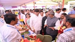 Dattatray Bharne : ‘महिलांचे शेतीतील श्रम कमी करण्यासाठी विद्यापीठांनी संशोधन करावे’ – कृषिमंत्री भरणे