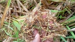 केंद्र सरकारने राज्याचा मदत निधी रखडविला प्रतीक्षाच; अतिवृष्टी बाधितांच्या मदतीचा प्रस्ताव डिसेंबरपासून पडून…