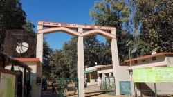 सर्वोच्च न्यायालय म्हणते शांतता! व्याघ्रप्रकल्पात मात्र संगीत महोत्सव…