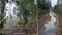 रत्नागिरीत अवकाळी पावसाची हजेरी; उन्हाच्या तडाख्यातून दिलासा, मात्र आंबा-काजू बागायतदार चिंतेत