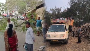 Wardha Tree Cutting News