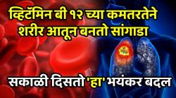 व्हिटॅमिन बी १२ च्या कमतरतेने शरीर आतून बनतो सांगाडा; सकाळी दिसतो ‘हा’ भयंकर बदल, अजिबात दुर्लक्ष न करता घ्या जाणून