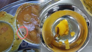 AIIMS Nagpur Mess Food Quality Issue | नागपूर एम्स मेस जेवण किडे