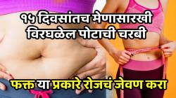 १५ दिवसांतच मेणासारखी विरघळेल पोटाची चरबी; फक्त ‘या’ प्रकारे रोजचं जेवण करा, परिणाम पाहून व्हाल थक्क