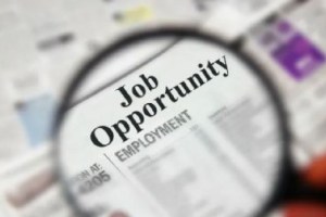 Maharashtra WRD Recruitment 2026 | जलसंपदा विभाग भरती १४००० पदे