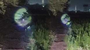 Wardha Leopard Attack Selu | वर्धा सेलू बिबट्या हल्ला रेस्क्यू ऑपरेशन