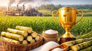 Sugar Production India, Maharashtra Sugar Industry, ISMA Report Pune, Sugar Mills Maharashtra, Uttar Pradesh Sugar Production, Ethanol Production India, Sugarcane Yield, Pune News, Agriculture News Maharashtra, साखर उत्पादन, महाराष्ट्र साखर कारखाने, इस्मा अहवाल, ऊस उत्पादन, इथेनॉल निर्मिती,