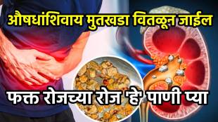 Kidney Stone Ayurvedic Treatment Home remedies prevention diet Kidney Stone home remedies