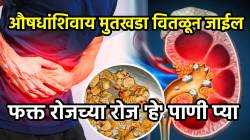 Kidney Stone: मुतखडा कधीच होणार नाही; औषधांशिवाय मुतखडा वितळून जाईल, फक्त रोजच्या रोज ‘हे’ पाणी प्या