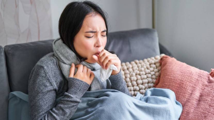 Chew betel leaf with cloves ajwain and honey to get rid of cold cough and phlegm home remdies