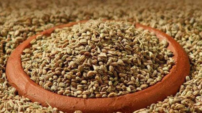 Chew betel leaf with cloves ajwain and honey to get rid of cold cough and phlegm home remdies