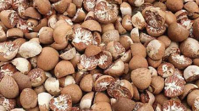 Chew betel leaf with cloves ajwain and honey to get rid of cold cough and phlegm home remdies