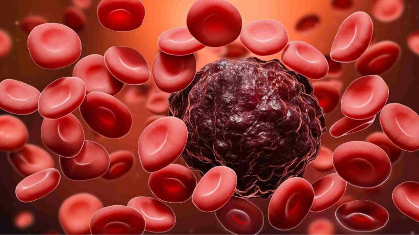 Healthy food will reduce chances of cancer