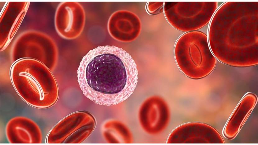 Healthy food will reduce chances of cancer