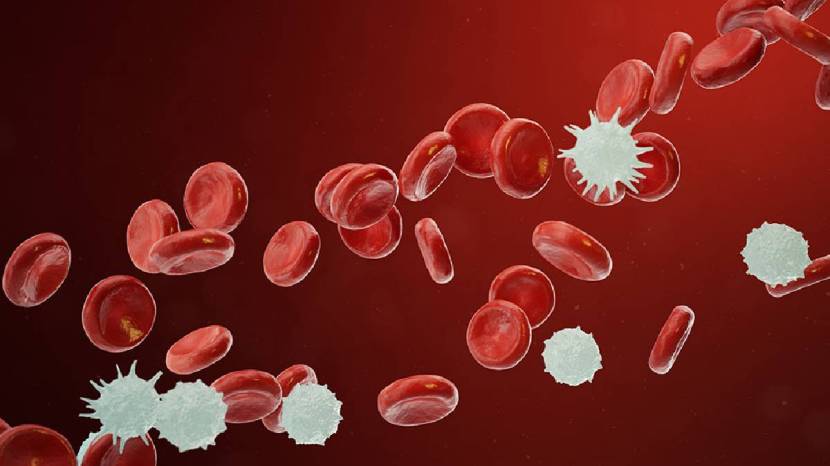 Healthy food will reduce chances of cancer