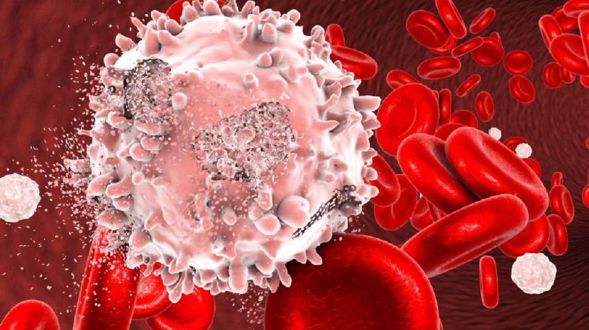 Healthy food will reduce chances of cancer