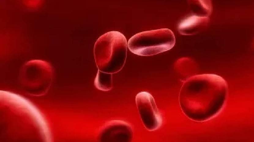 Healthy food will reduce chances of cancer