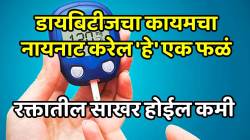 डायबिटीजचा कायमचा नायनाट करण्यासाठी सालीसकट खा ‘हे’ एक फळं, १००० च्या स्पीडने कमी होईल रक्तातील साखर, १०० वर्ष जगाल