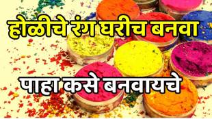 how to make natural dry and wet color for holi use all easily available materials from kitchen and garden