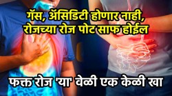 गॅस, अ‍ॅसिडिटी होणार नाही, रोजच्या रोज पोट साफ होईल; फक्त ‘या’ वेळी एक केळी खा, परिणाम पाहून थक्क व्हाल