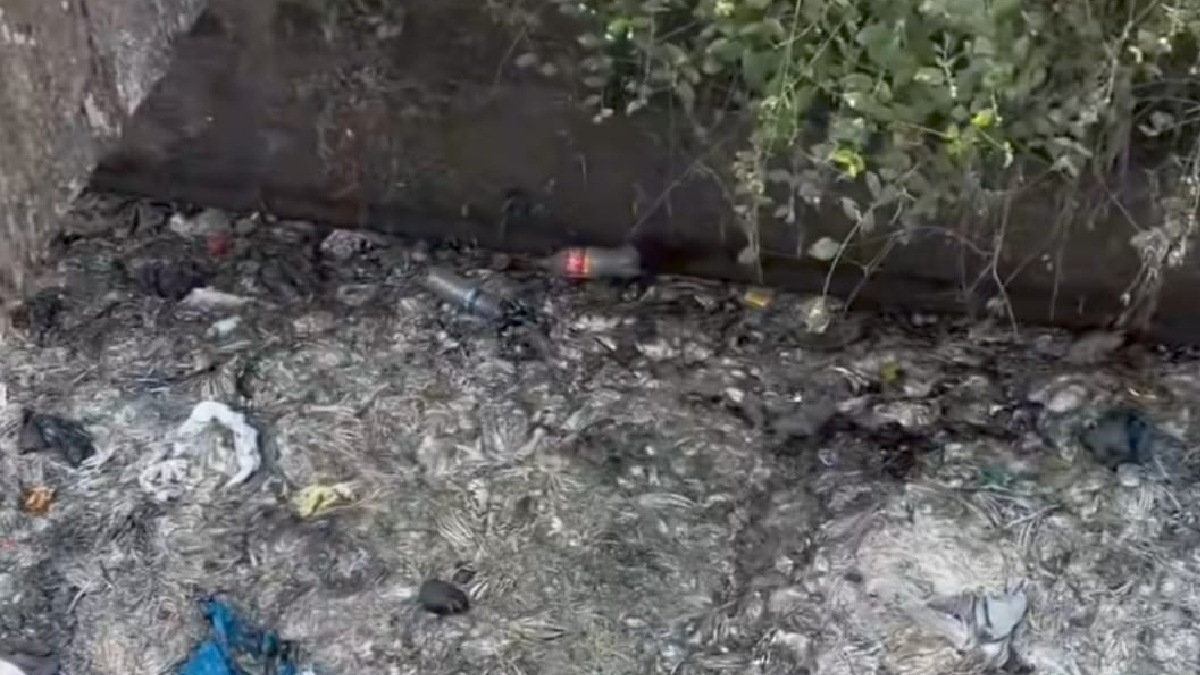Chicken waste dumped in Mira Bhayandar drain; residents обеспconcerned.