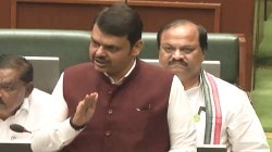 प्लास्टिक फुलांवर बंदी? विधानसभेत प्रश्न गाजला; मुख्यमंत्र्यांची विधानसभेत ग्वाही…