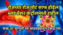 रोजच्या रोज पोट साफ होईल; ब्लड प्रेशर कंट्रोलमध्ये राहील, फुफ्फुस निरोगी राहील, फक्त ‘हा’ घरगुती रस आठवड्यातून एकदा प्या