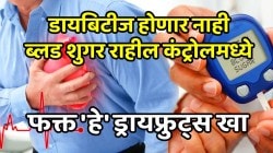 डायबिटीज होणार नाही, ब्लड शुगर राहील कंट्रोलमध्ये; फक्त ‘हे’ ड्रायफ्रुट्स खा, परिणाम पाहून थक्क व्हाल
