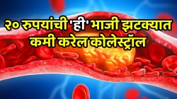 बाजारात २० रुपयांना मिळणारी ‘ही’ भाजी झटक्यात कमी करेल कोलेस्ट्रॉल; हार्ट अटॅकचा धोका कायमचा कमी होईल