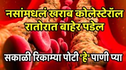 नसांमधलं खराब कोलेस्टेरॉल रातोरात बाहेर पडेल; फक्त सकाळी रिकाम्या पोटी ‘हे’ पाणी प्यायला सुरुवात करा