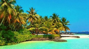 भारतामधील कोणते ठिकाण ‘कोकोनट आयलंड’ म्हणून ओळखले जाते? जाणून घ्या या बेटाचे खास वैशिष्ट्य!