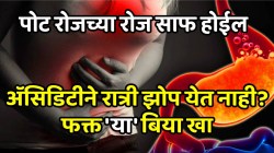 पोट रोजच्या रोज साफ होईल, गॅस होणार नाही; अ‍ॅसिडिटीने रात्री झोप येत नाही? फक्त ‘या’ बिया खा, कायमचा मिळेल आराम