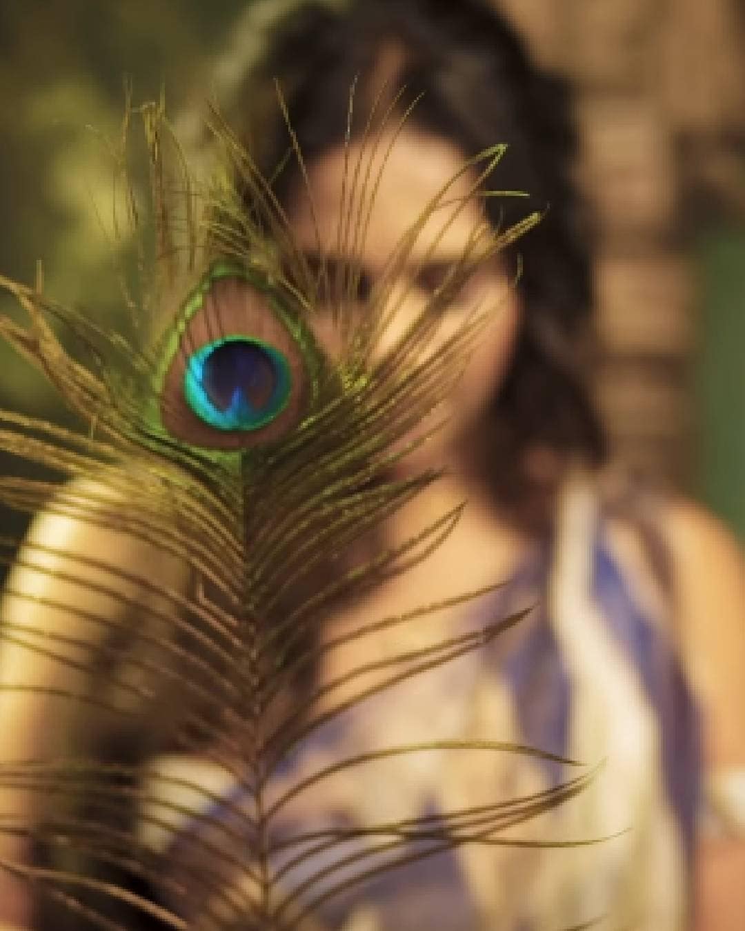 Amruta Dhongade traditional saree look