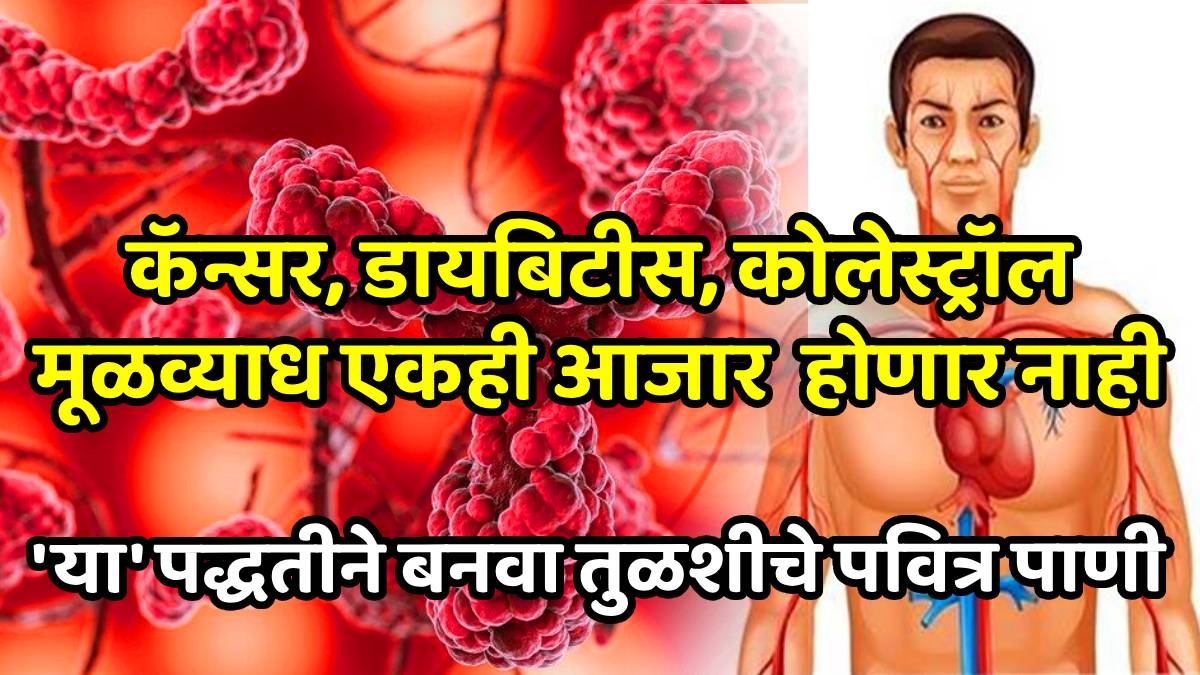 Basil leaves health benefits tulsi protects against diseases like blood sugar and breast cancer know its more health benefits