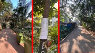 Versova Madh Coastal Road Project, Nana Nani Park Versova Trees, Mumbai Coastal Road Construction, Save Nana Nani Park Protest, BMC Tree Cutting Notice Versova, Ameet Satam Coastal Road Update, Mumbai Environment News 2026, Juhu Versova Link Road, Tree Transplantation Mumbai,