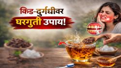 दाताला कीड लागलीय? तोंडाला दुर्गंधीही येतेय? फक्त दात घासल्यानंतर ‘या’ २ वस्तू पाण्यात टाकून करा गुळण्या; दातदुखी होईल बंद