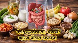 पोट खराब झालयं का? ही ८ लक्षणं दिसत असतील तर आतड्याचे आरोग्य धोक्यात; ‘हे’ ३ पदार्थ बदलू शकतात आतड्याचे आरोग्य