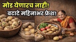 बटाटे लवकर सडतात? मोड येऊ नये म्हणून परडीत ठेवा फक्त ‘या’ वस्तू; महिनाभर राहतील फ्रेश, आजीचा जबरदस्त उपाय, एकदा करून पाहाच!