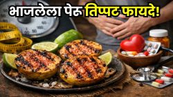 कच्चा नाही… भाजून खा पेरू! पचन, वजन आणि कोलेस्ट्रॉलही होते कमी, वाचा कमाल करणारे फायदे