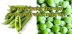 तुम्ही ताजे हिरवे मटार खाता की फ्रोझन मटार? फ्रोझन मटार खरंच आरोग्यासाठी चांगले आहेत का?