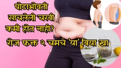 पोटाभोवती साचलेली चरबी कमी होत नाही? या बिया खा अन् भूकेवर ठेवा नियंत्रण; वजन आणि चरबी दोन्ही होईल कमी