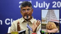 Tirupati Laddu Row: ‘प्रसादाच्या लाडूसाठी वापरलं बाथरुम क्लीनर केमिकल’, तिरुपती वादावर मुख्यमंत्र्यांचं मोठं विधान